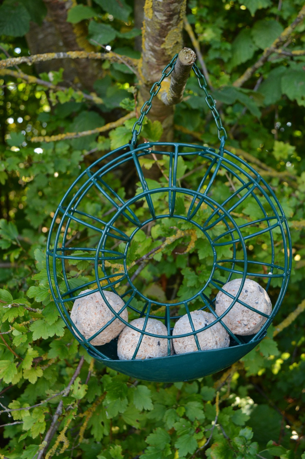 Ring Fatball Feeder