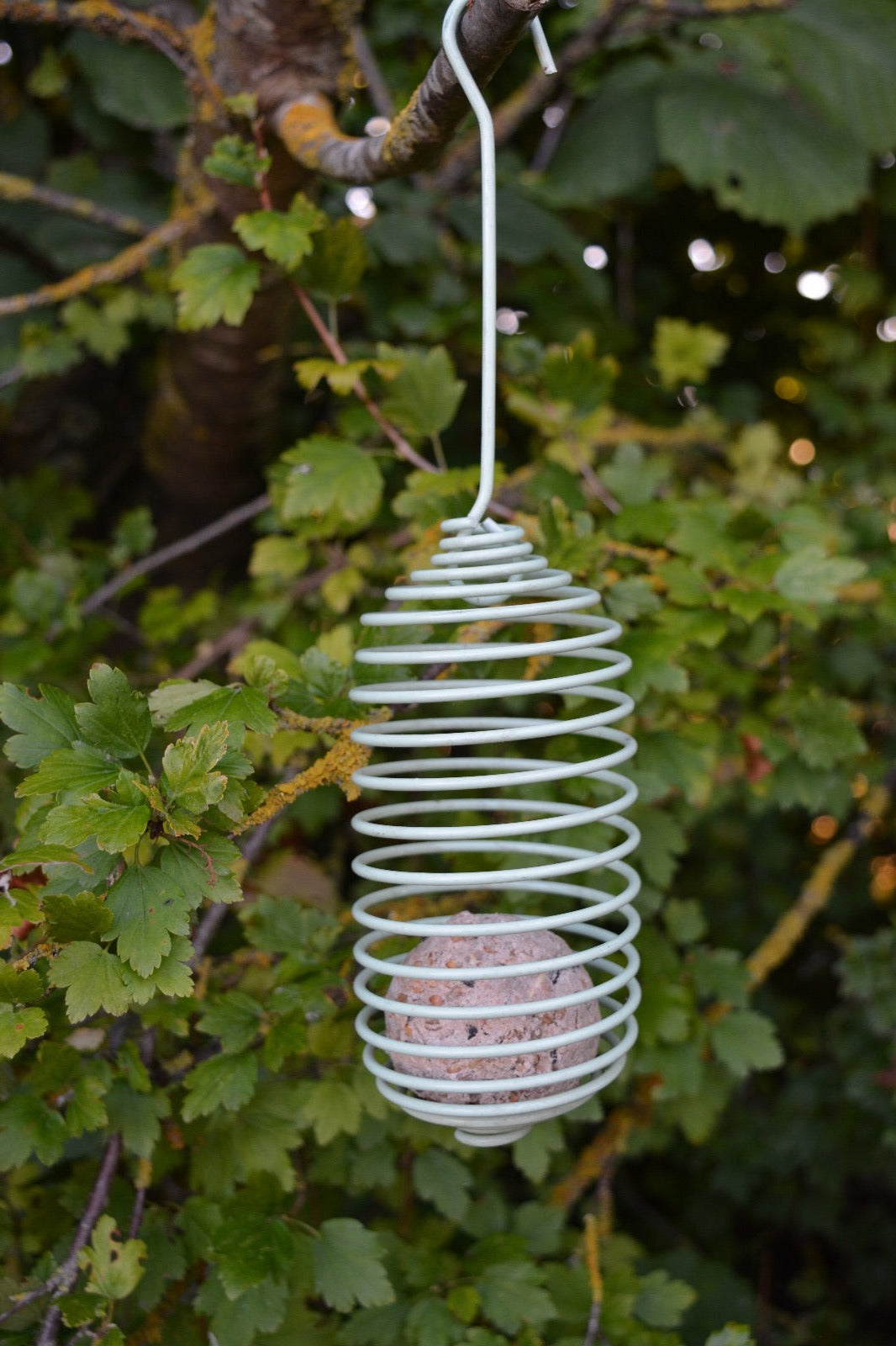 Spiral Feeder