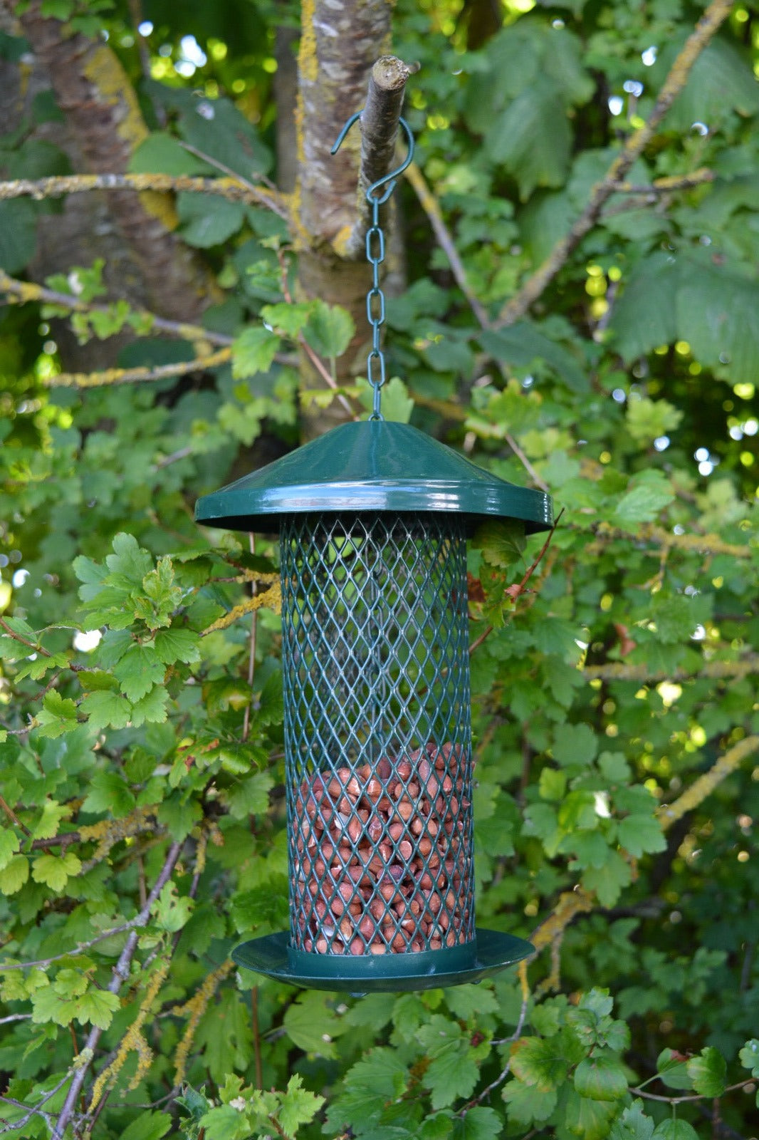 Nut Feeder L