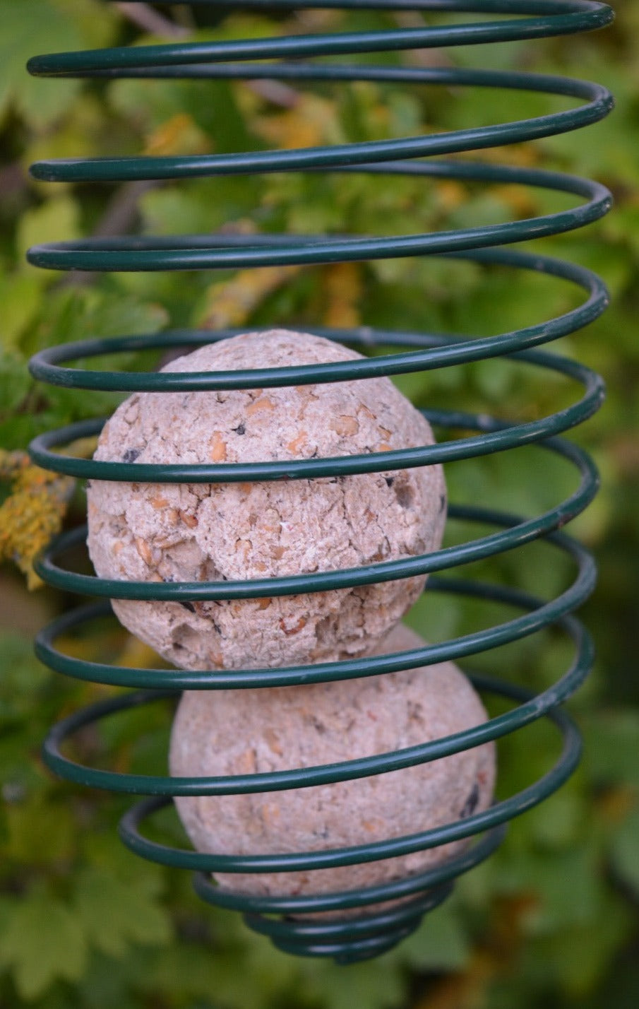 Spiral Feeder