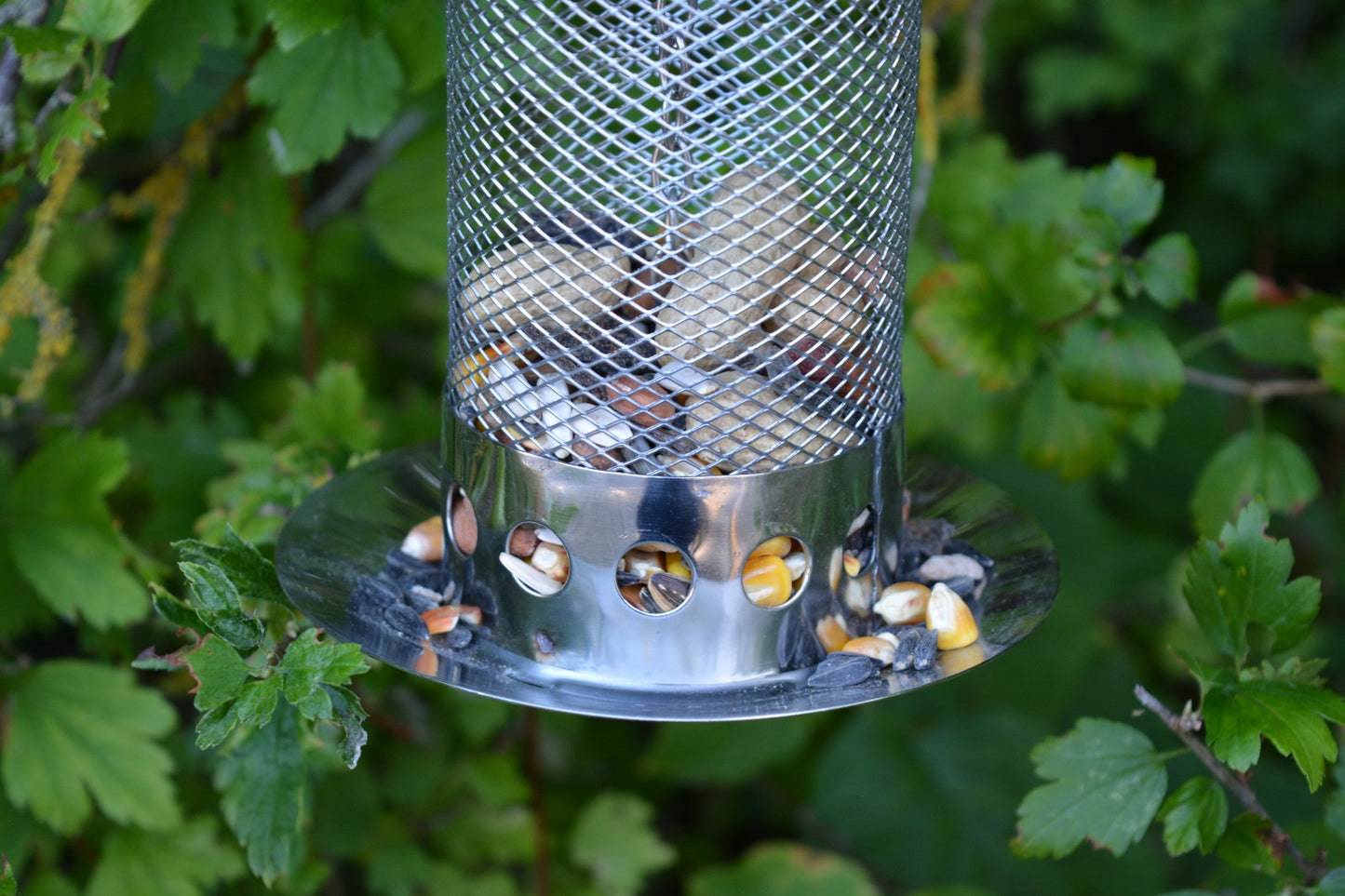 Seed Feeder L Rustfrit stål