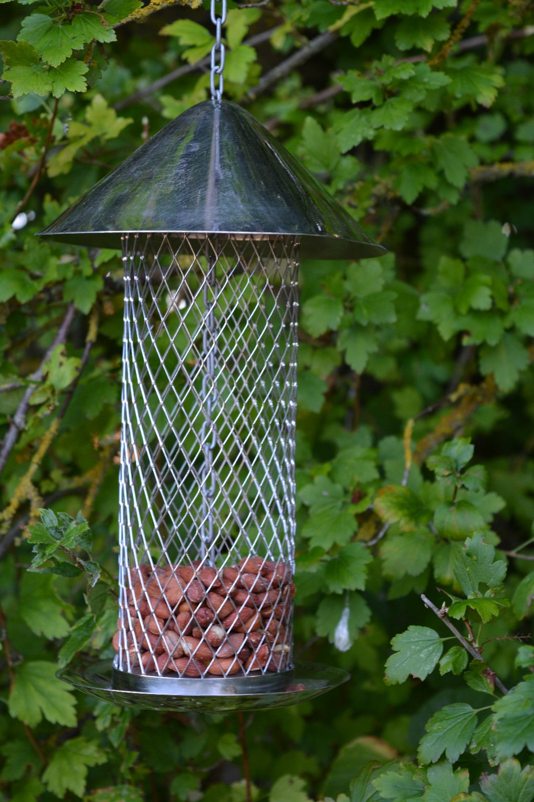 Nut Feeder Stainless steel
