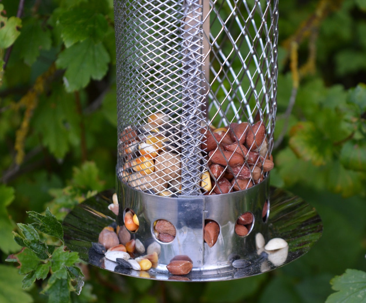 Combi Feeder Rustfrit stål