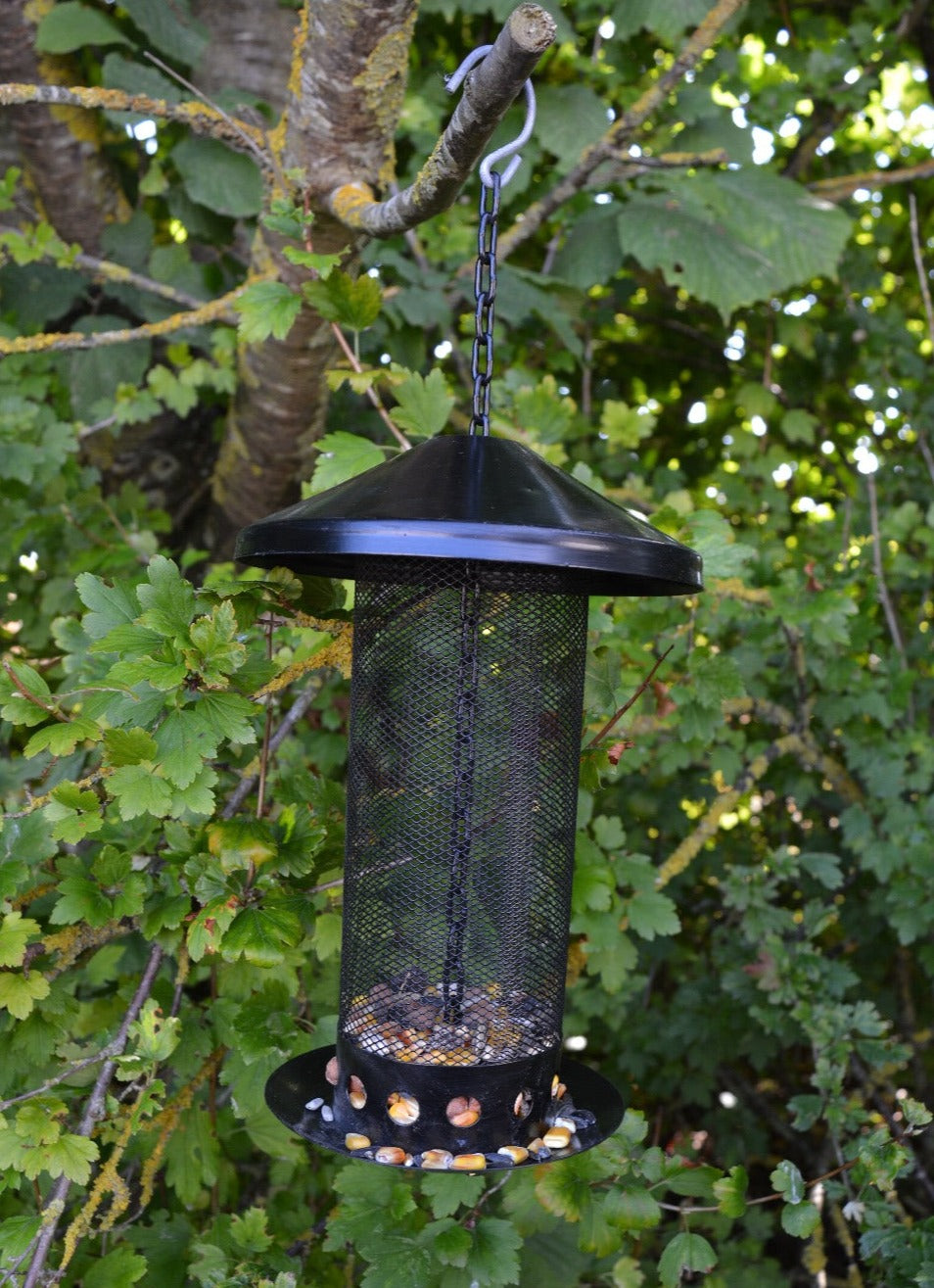 Seed Feeder L