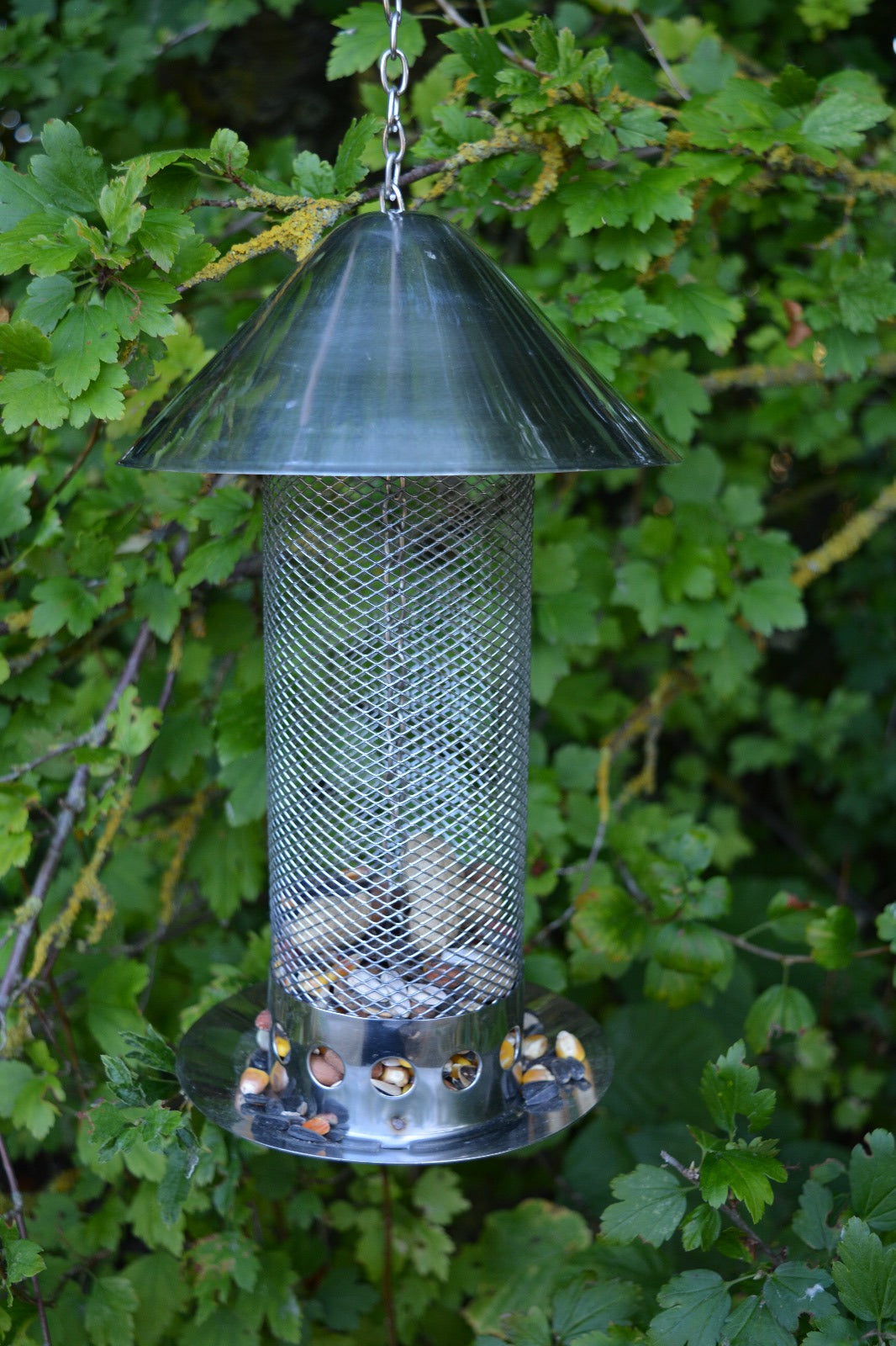 Seed Feeder L Rustfrit stål