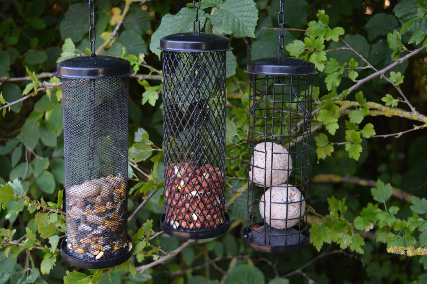 3 Pack Automatic Feeders