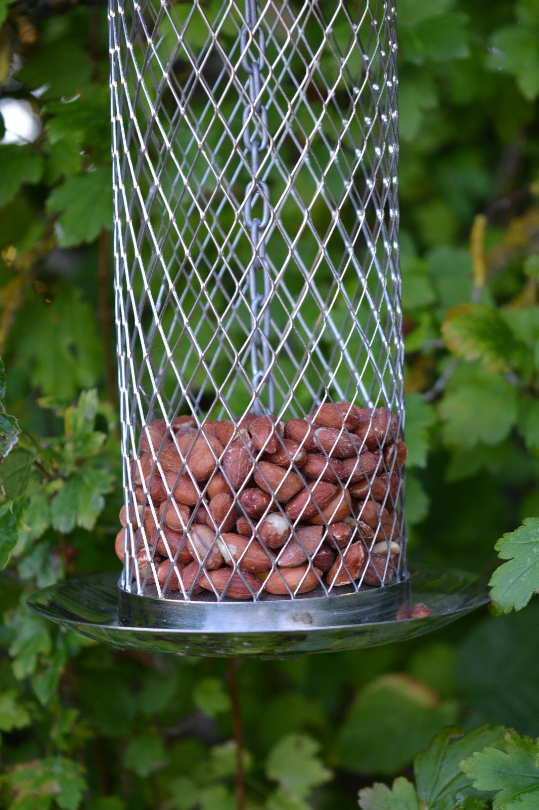 Nut Feeder Rustfrit stål