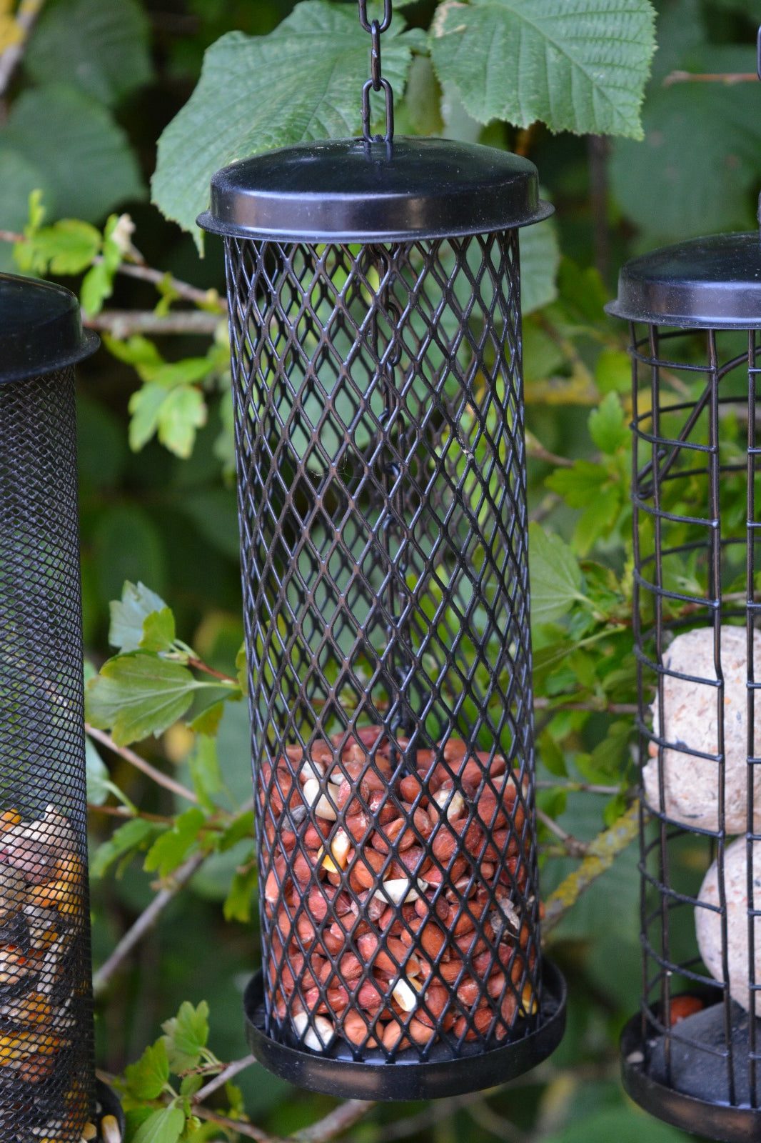 3 Pack Automatic Feeders