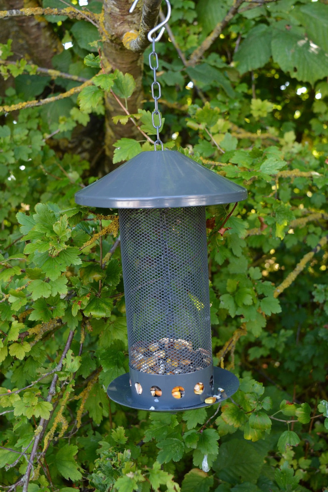 Seed Feeder L