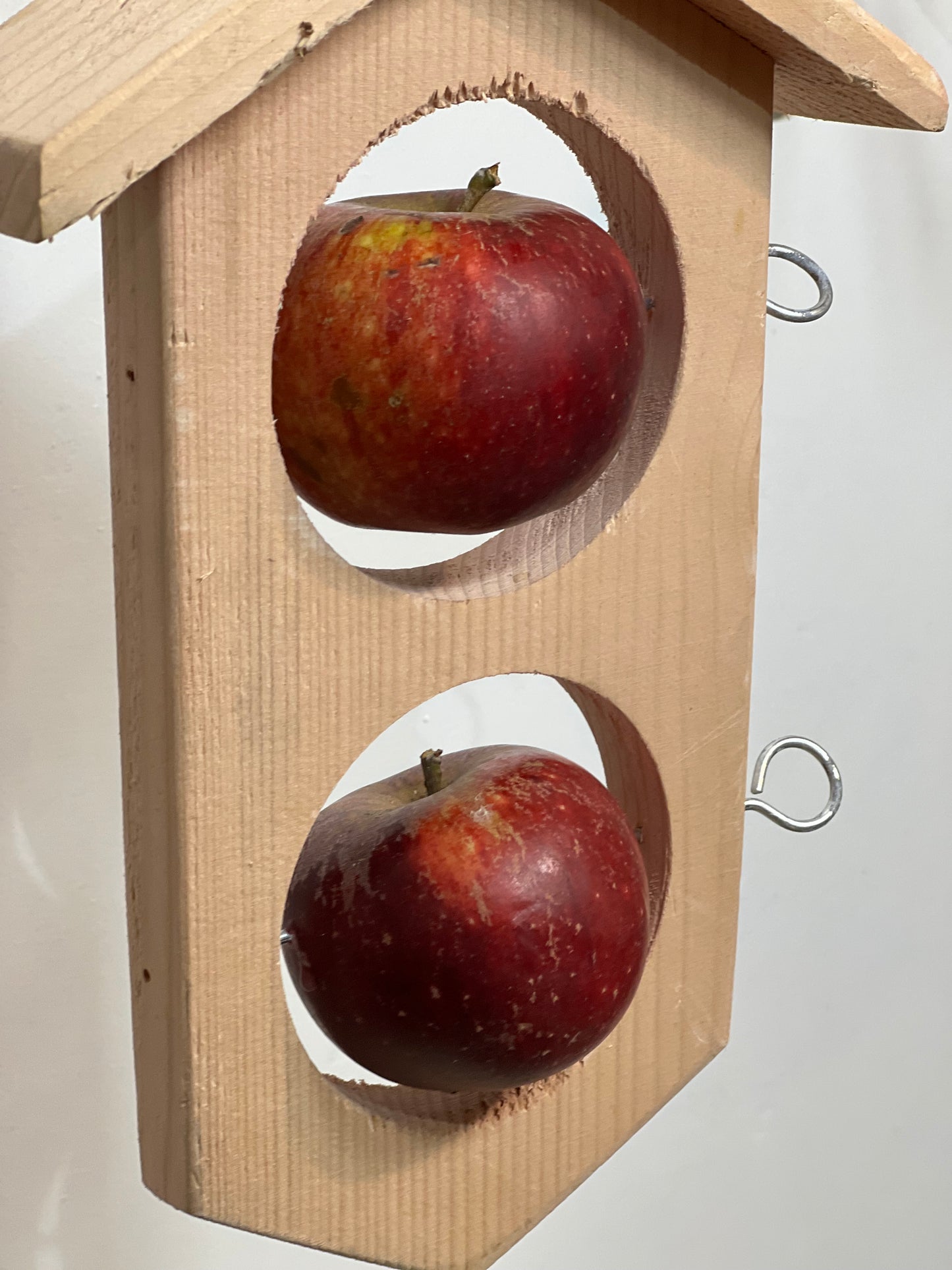 Æblehus, hængende