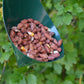 Cornet Feeder