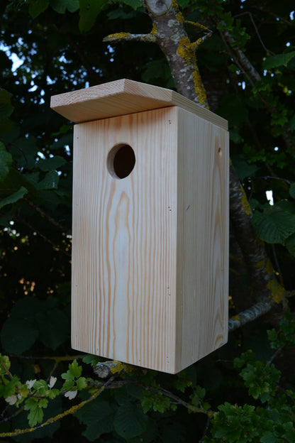 Nest box in pine 50mm hole