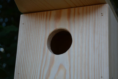 Nest box in pine 50mm hole